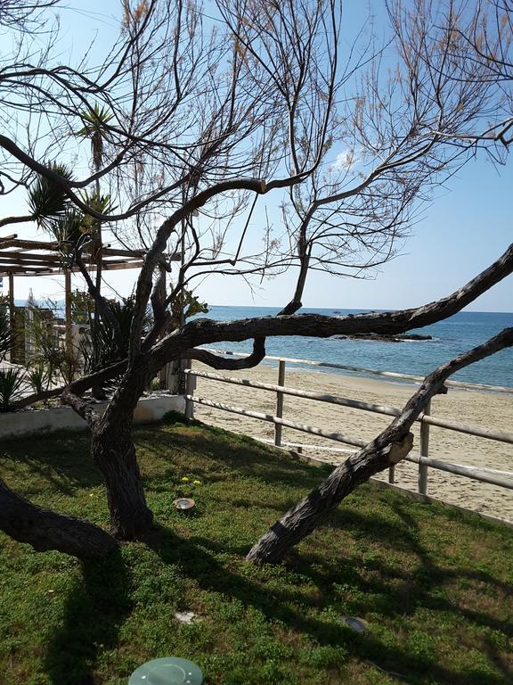 Hotel E Residence Il Faro อักเชียโรลี ภายนอก รูปภาพ